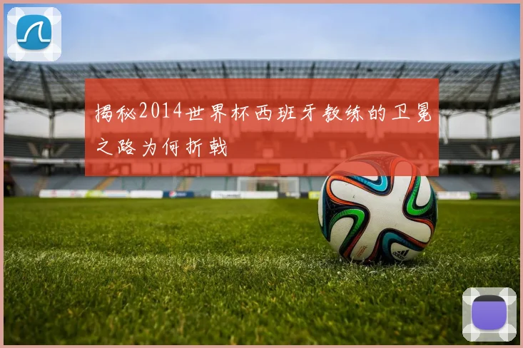 揭秘2014世界杯西班牙教练的卫冕之路为何折戟