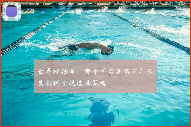 世界杯期间,哪个平台还能买?深度剖析合规选择策略