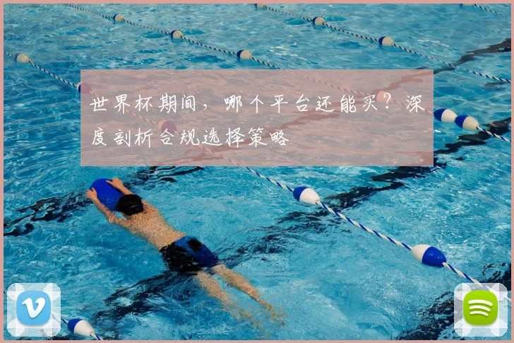 世界杯期间,哪个平台还能买?深度剖析合规选择策略
