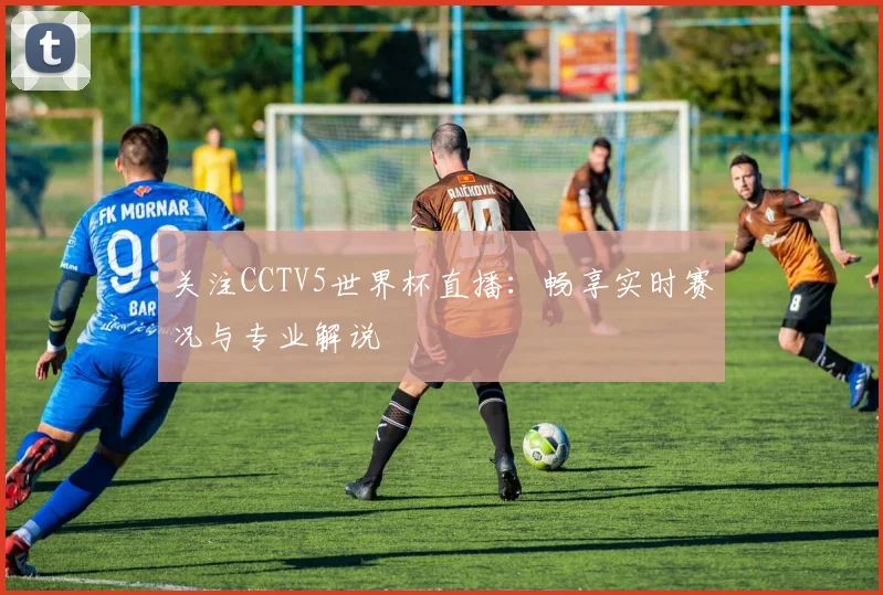 关注CCTV5世界杯直播：畅享实时赛况与专业解说