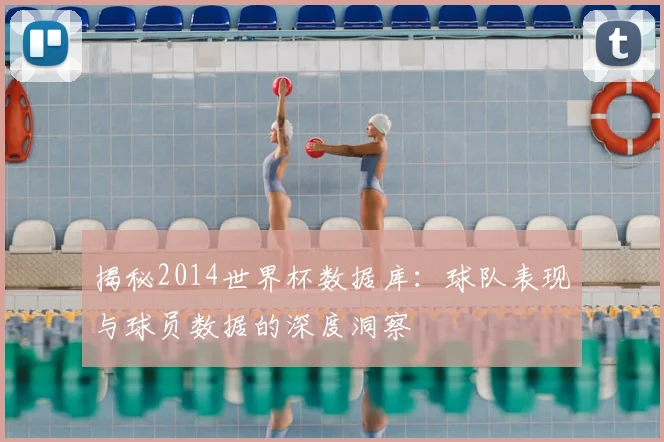 揭秘2014世界杯数据库：球队表现与球员数据的深度洞察