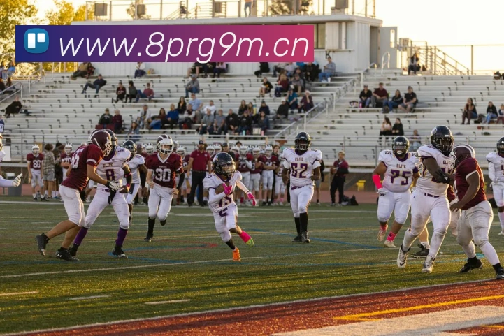 多媒体互动体验